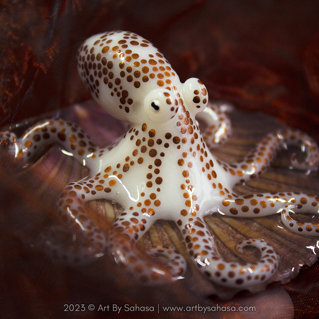 HELENA - Shelltopus - OOAK Baby Giant Pacific Octopus Sculpture