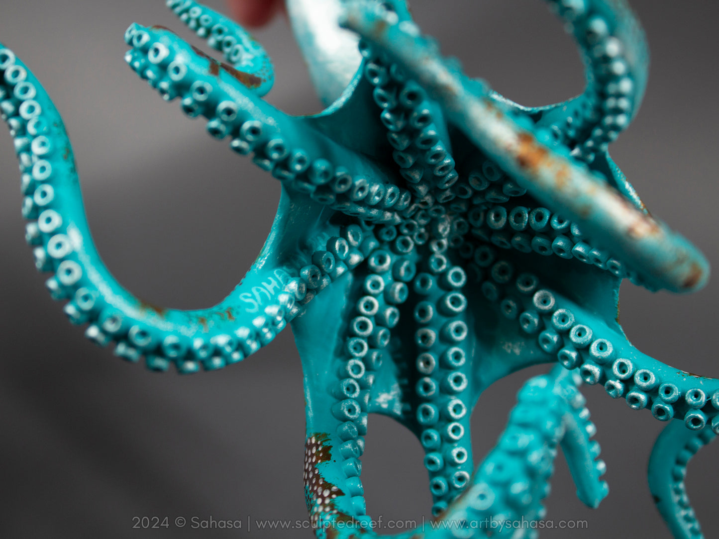 MELODY - 140 x 85 x 85mm - OOAK Caribbean Reef Octopus Sculpture