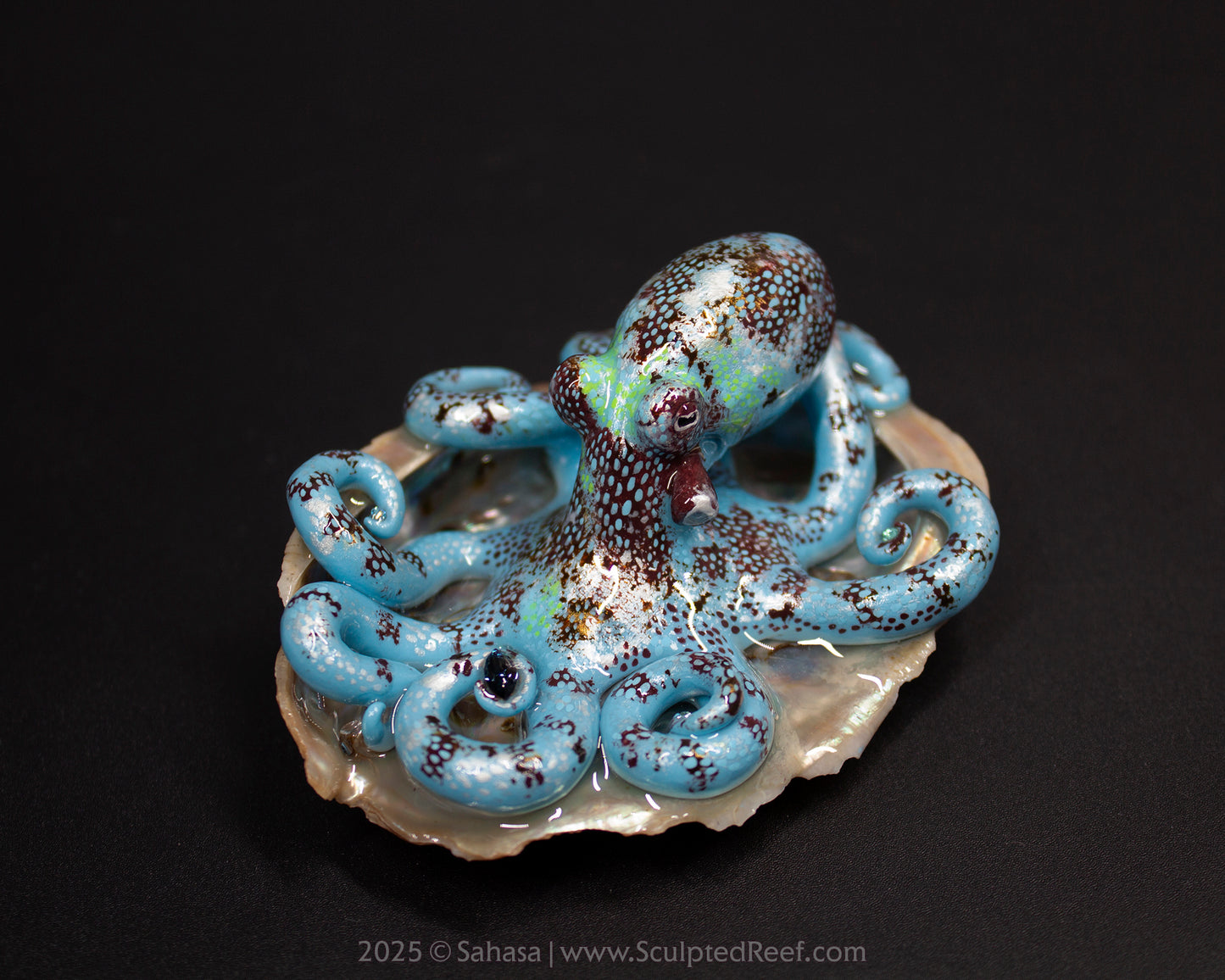 ELPIDA - Shelltopus - OOAK Caribbean Reef Octopus Sculpture