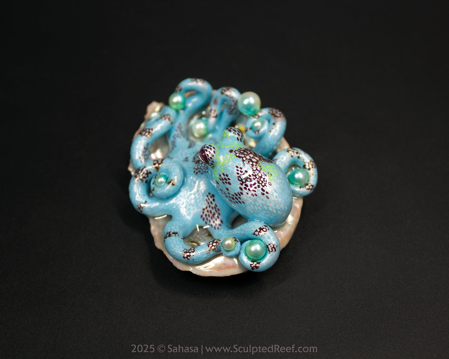 CARA - Shelltopus (Large) - OOAK Caribbean Reef Octopus Sculpture