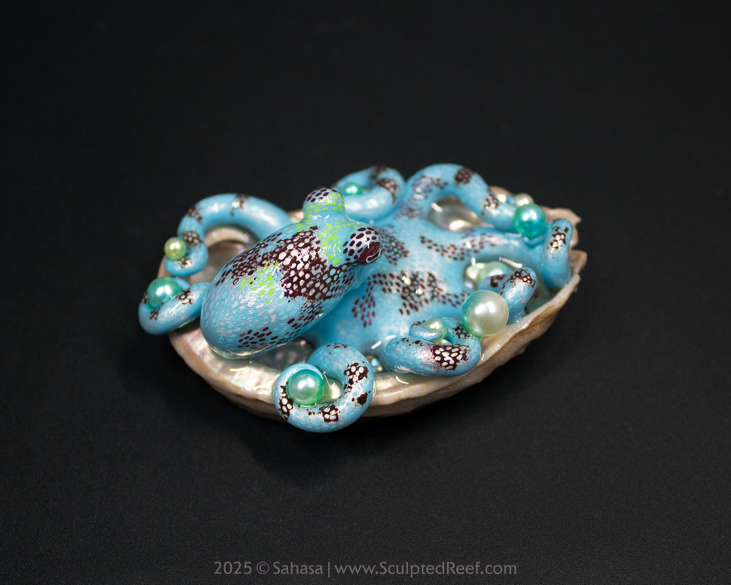 CARA - Shelltopus (Large) - OOAK Caribbean Reef Octopus Sculpture