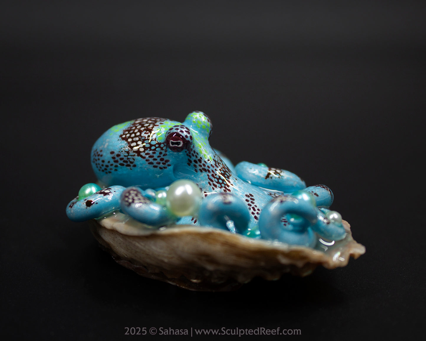 CARA - Shelltopus (Large) - OOAK Caribbean Reef Octopus Sculpture