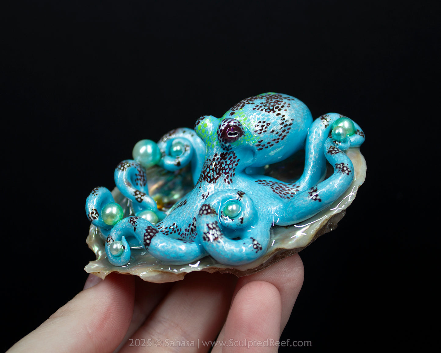 CARA - Shelltopus (Large) - OOAK Caribbean Reef Octopus Sculpture