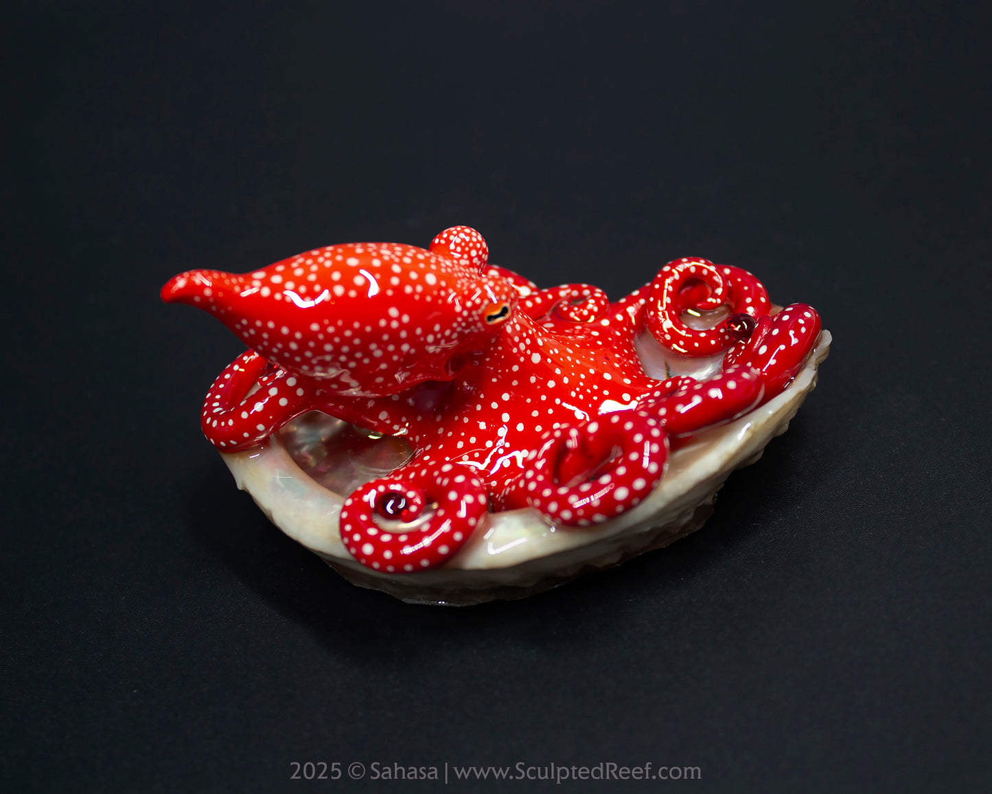 MAZU - Shelltopus - OOAK Starry Night Octopus Sculpture