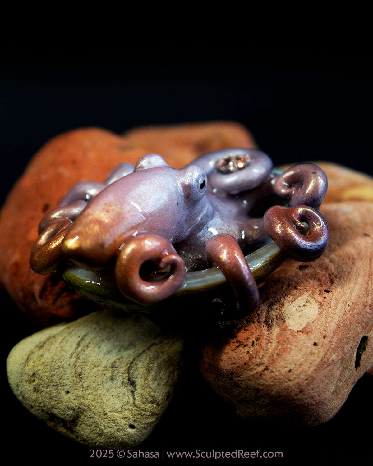 WILLA - Shelltopus (Baby) - OOAK Star Guardian Octopus Sculpture