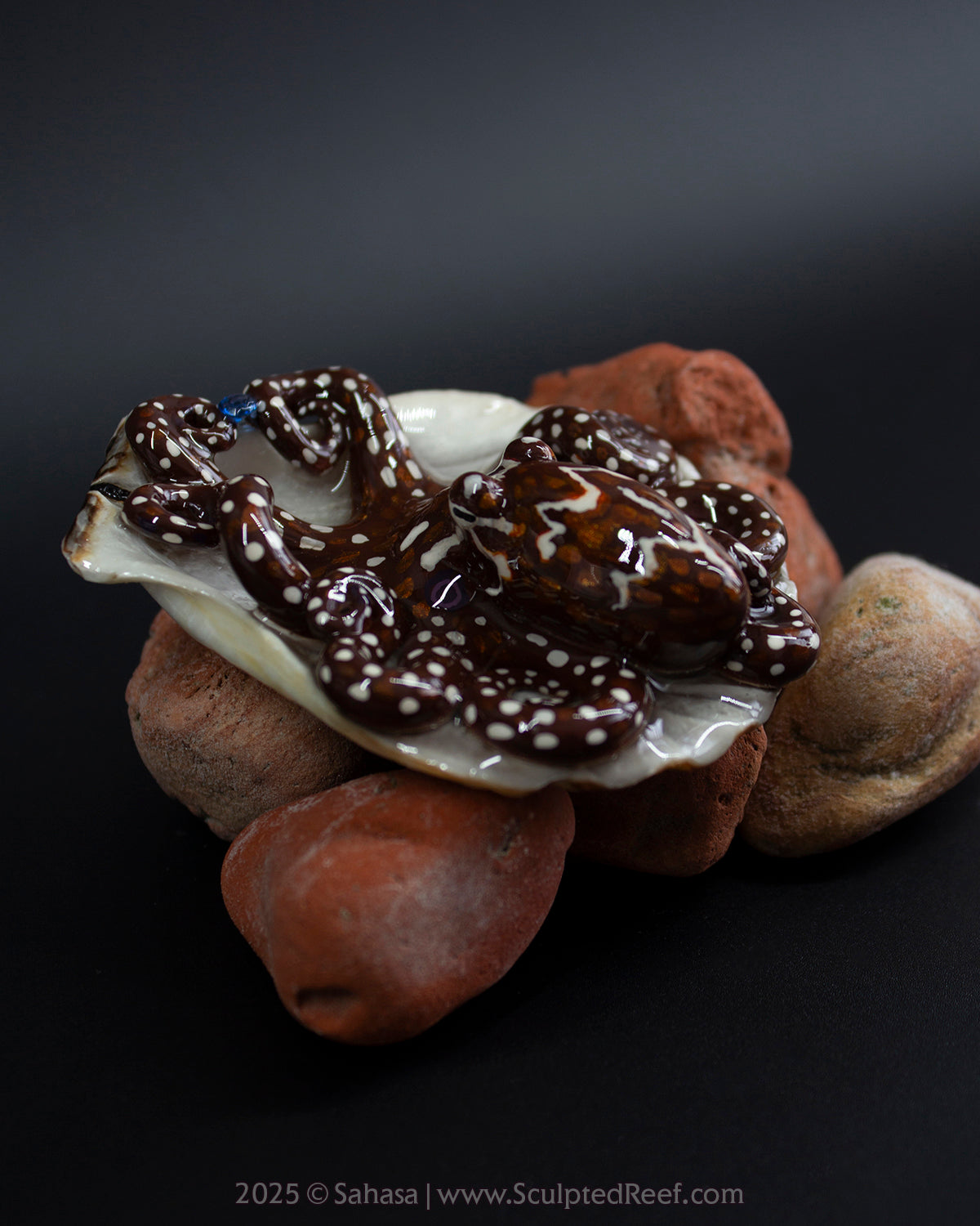 NYLA - Shelltopus - OOAK Day Octopus Sculpture