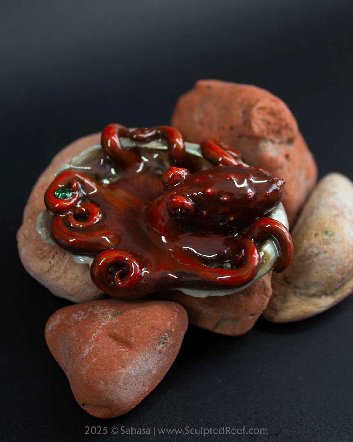 JASPER - Shelltopus (Baby) - OOAK Giant Pacific Octopus Sculpture