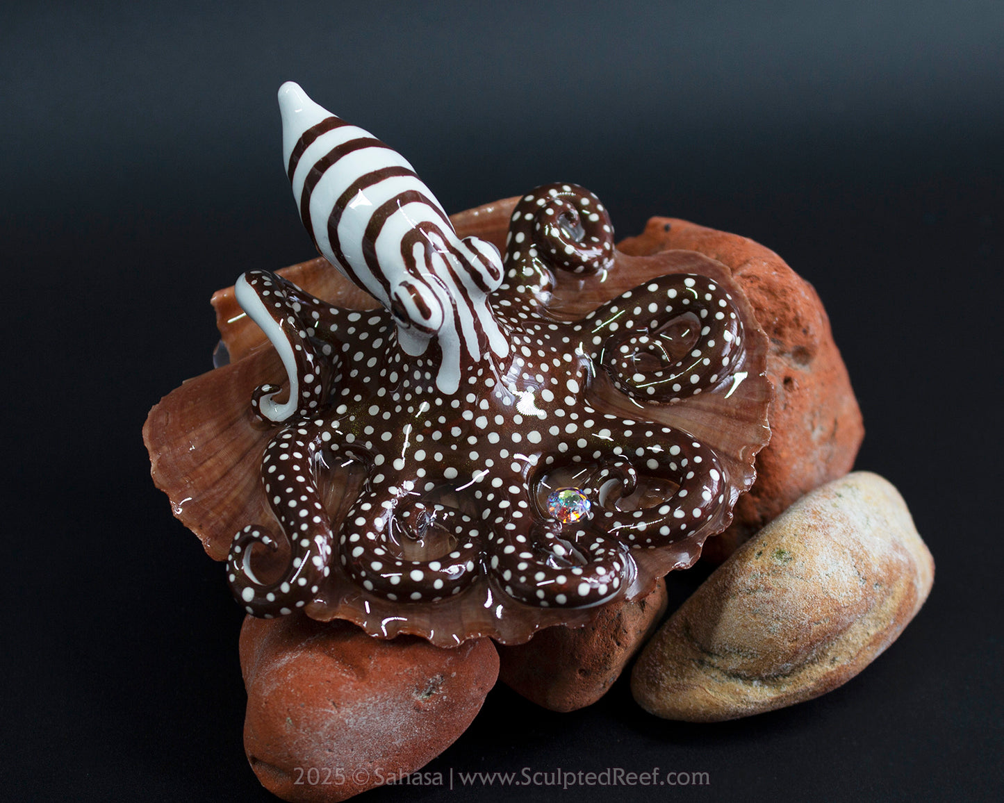 ZEPHYR - Shelltopus - OOAK Larger Pacific Striped Octopus Sculpture