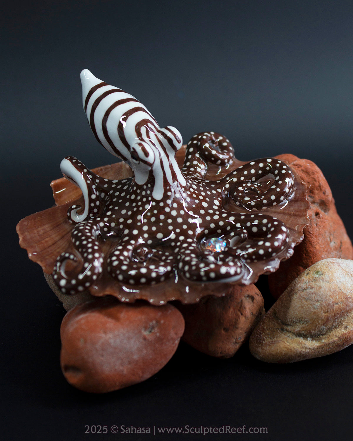 ZEPHYR - Shelltopus - OOAK Larger Pacific Striped Octopus Sculpture