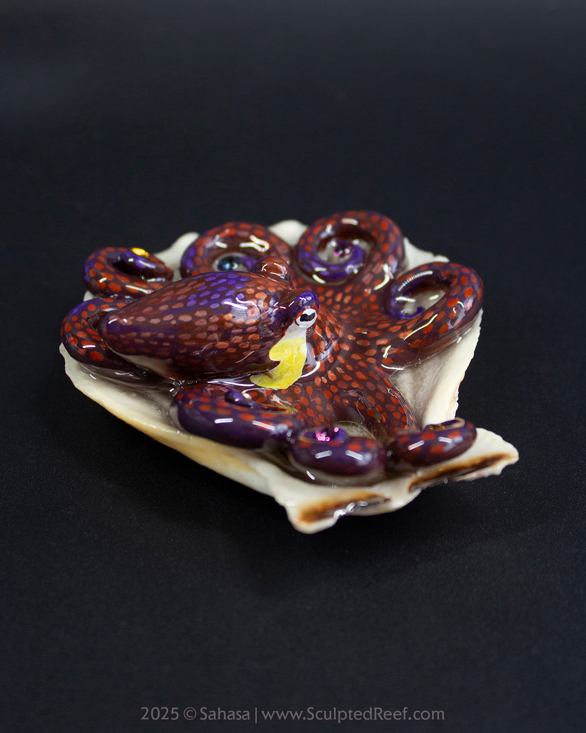 PEYTON - Shelltopus - OOAK Coconut Octopus Sculpture