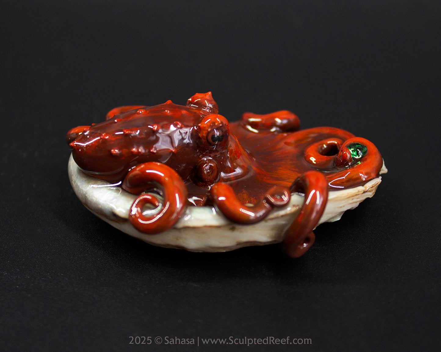 JASPER - Shelltopus (Baby) - OOAK Giant Pacific Octopus Sculpture