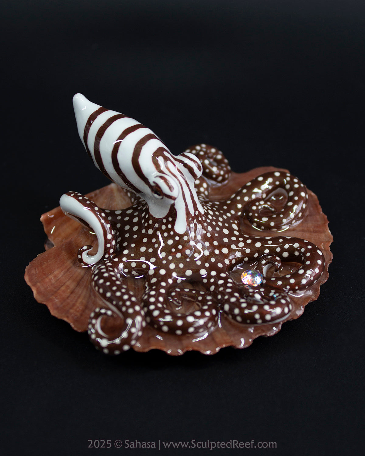 ZEPHYR - Shelltopus - OOAK Larger Pacific Striped Octopus Sculpture