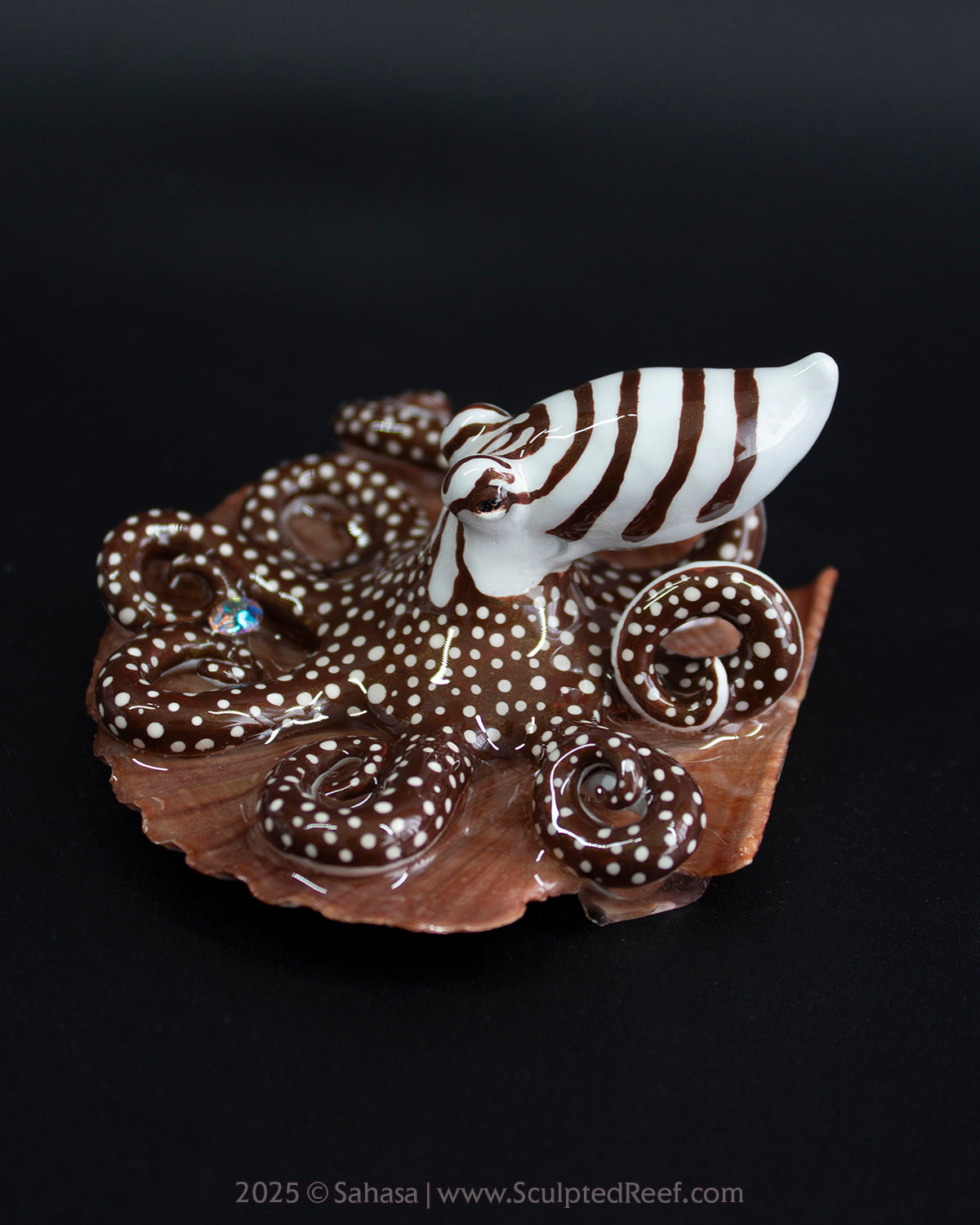 ZEPHYR - Shelltopus - OOAK Larger Pacific Striped Octopus Sculpture