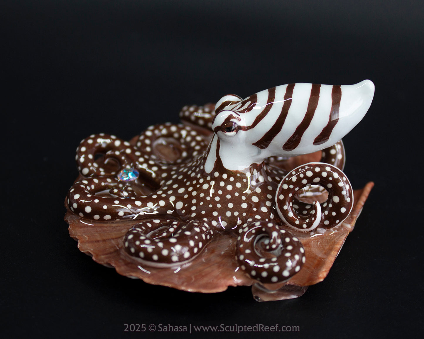 ZEPHYR - Shelltopus - OOAK Larger Pacific Striped Octopus Sculpture