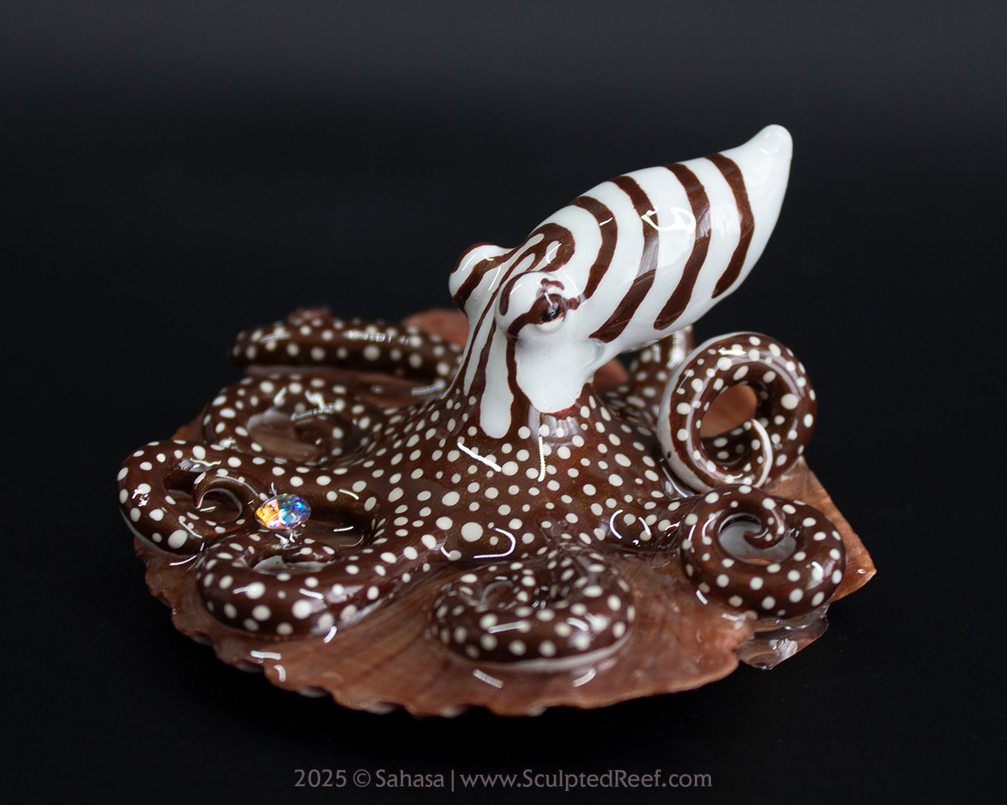 ZEPHYR - Shelltopus - OOAK Larger Pacific Striped Octopus Sculpture