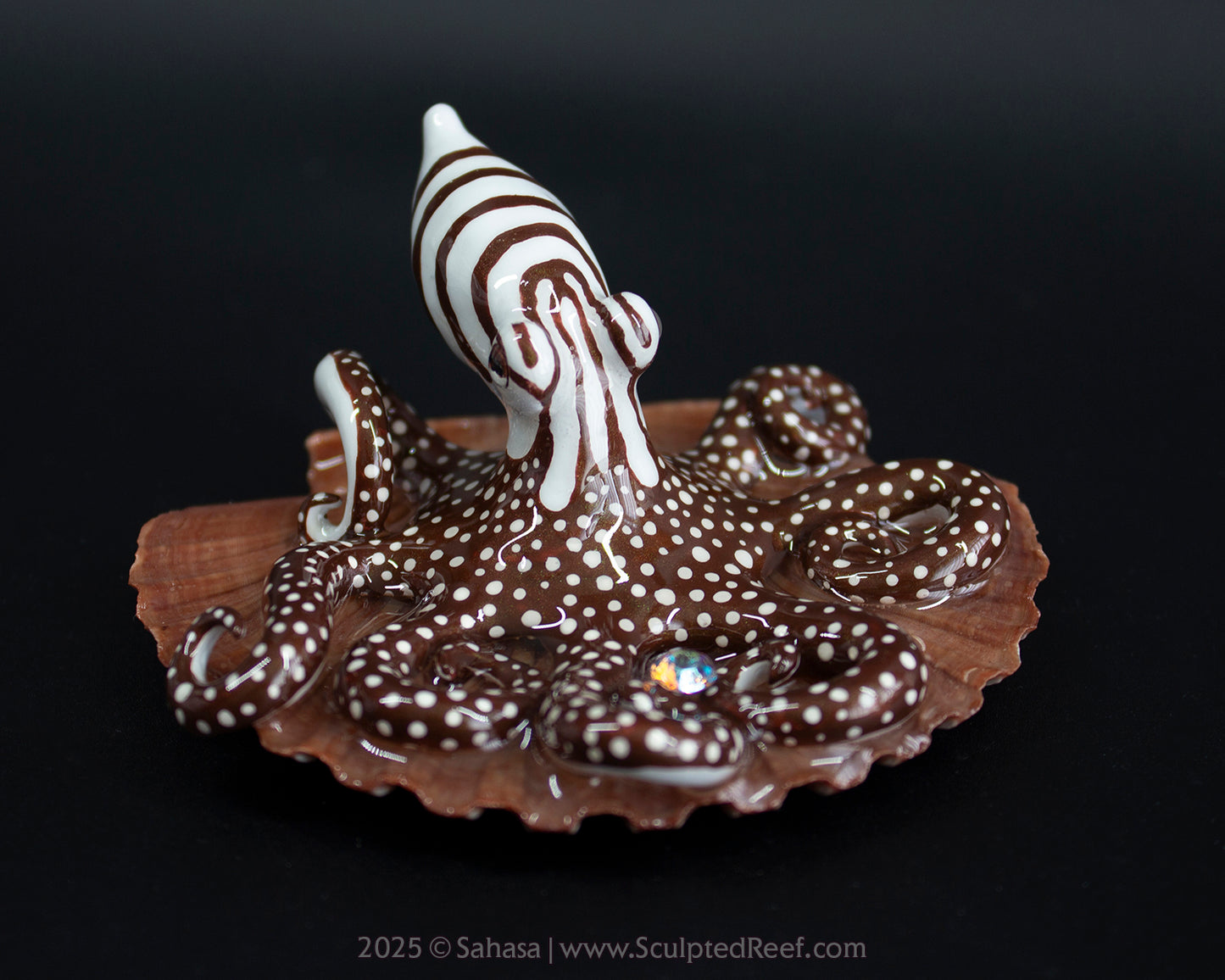ZEPHYR - Shelltopus - OOAK Larger Pacific Striped Octopus Sculpture