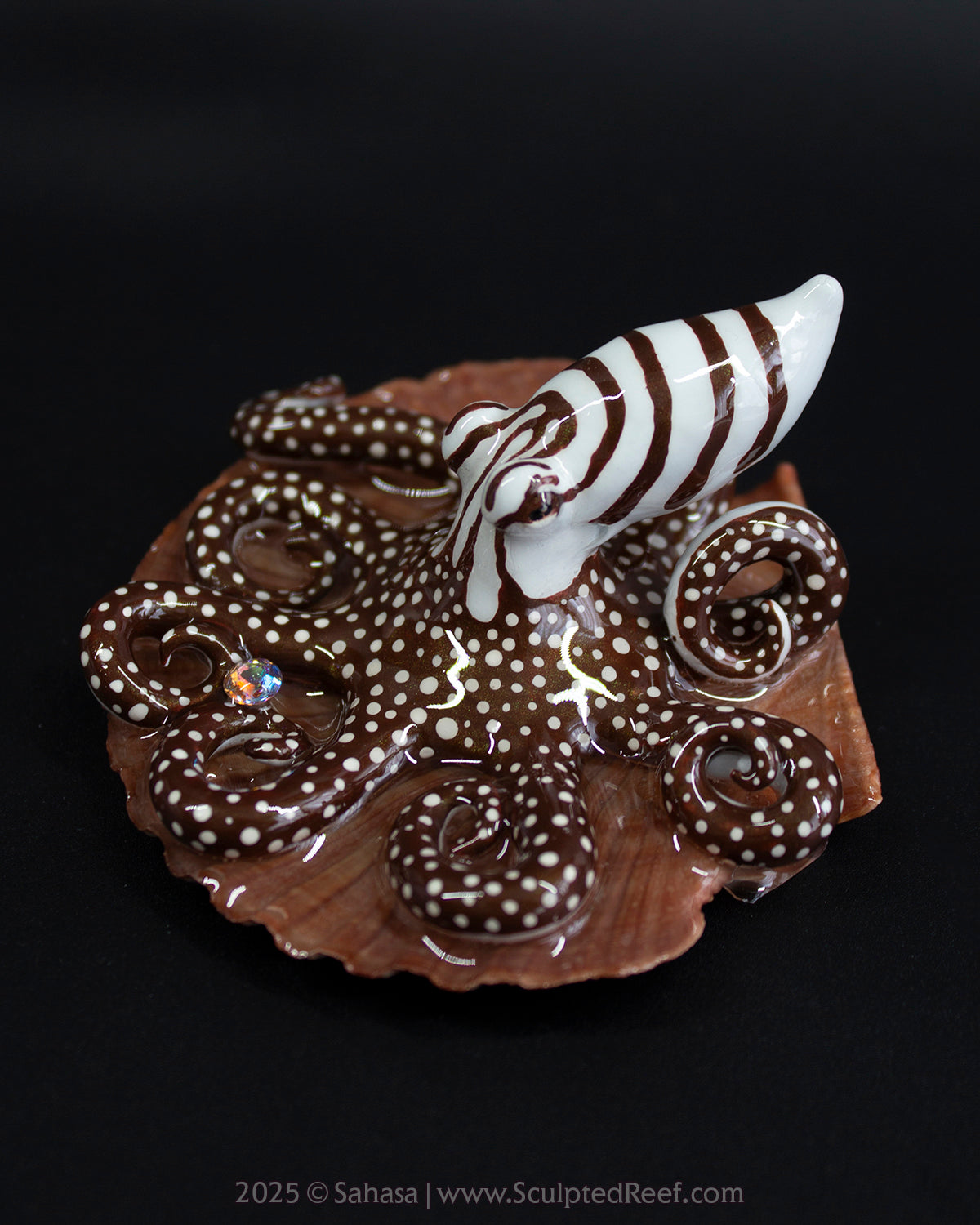 ZEPHYR - Shelltopus - OOAK Larger Pacific Striped Octopus Sculpture
