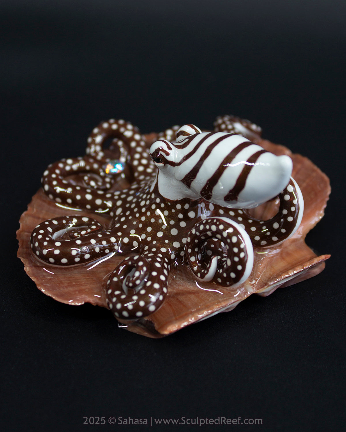 ZEPHYR - Shelltopus - OOAK Larger Pacific Striped Octopus Sculpture