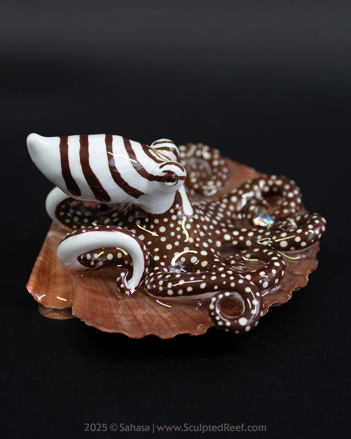 ZEPHYR - Shelltopus - OOAK Larger Pacific Striped Octopus Sculpture