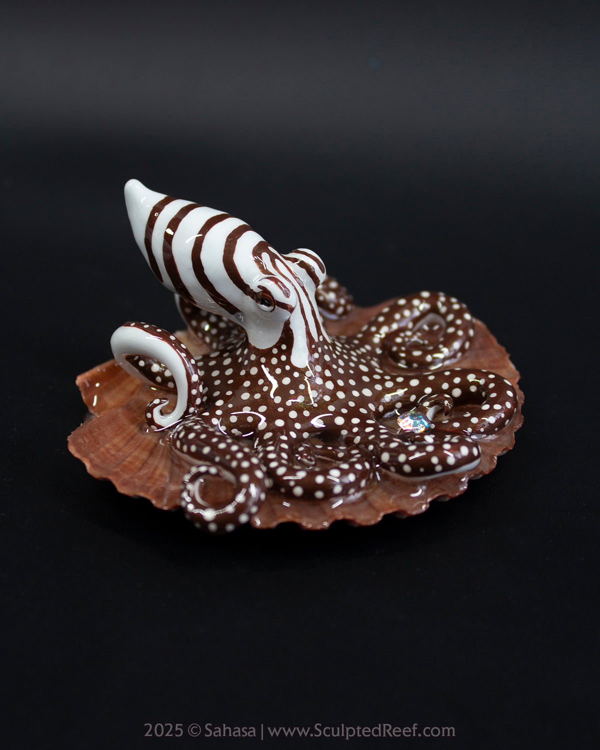 ZEPHYR - Shelltopus - OOAK Larger Pacific Striped Octopus Sculpture