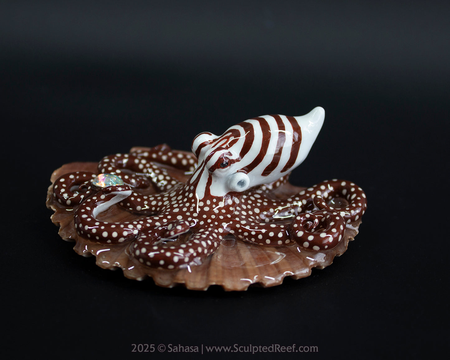 CALLAHAN - Shelltopus - OOAK Larger Pacific Striped Octopus Sculpture