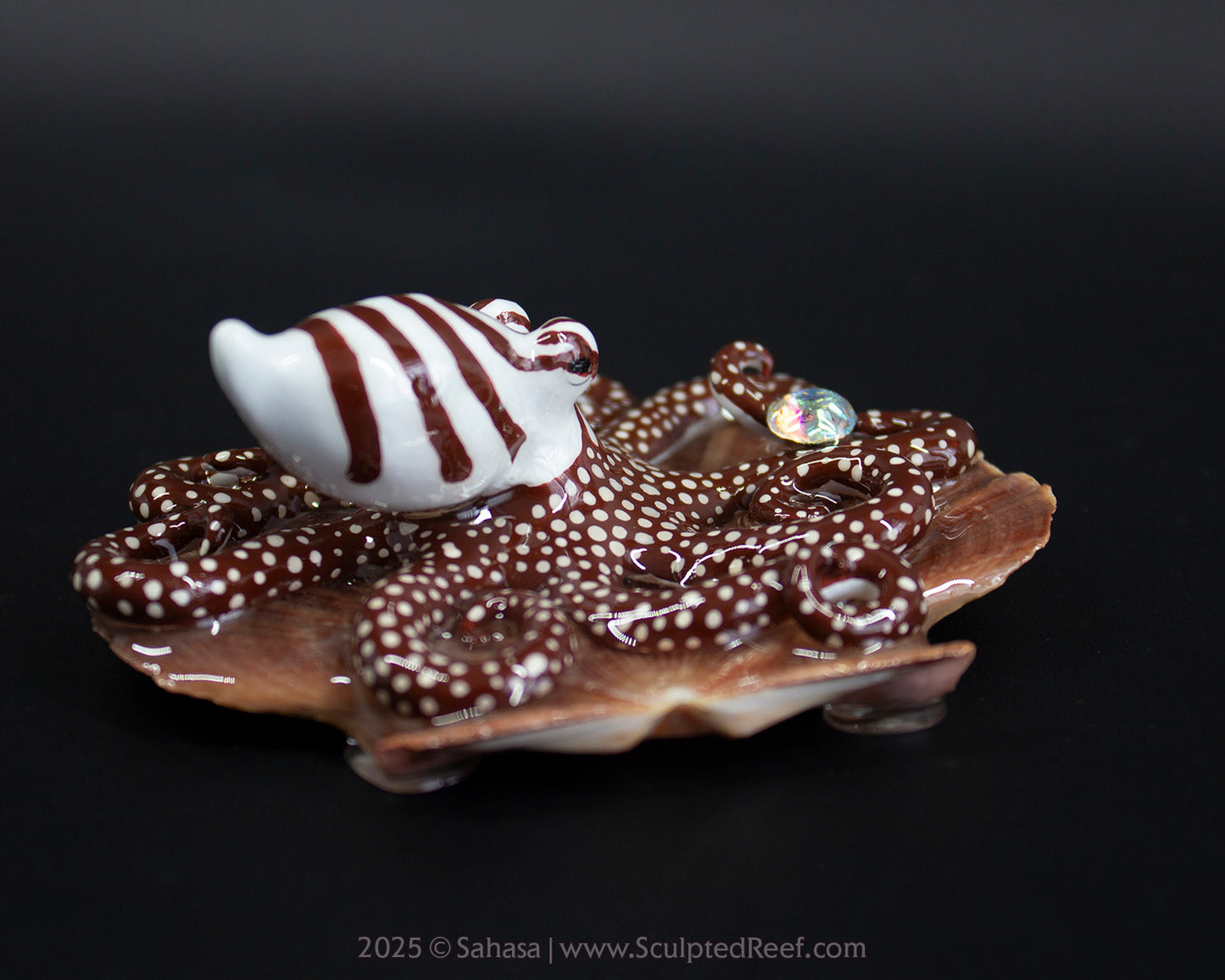 CALLAHAN - Shelltopus - OOAK Larger Pacific Striped Octopus Sculpture