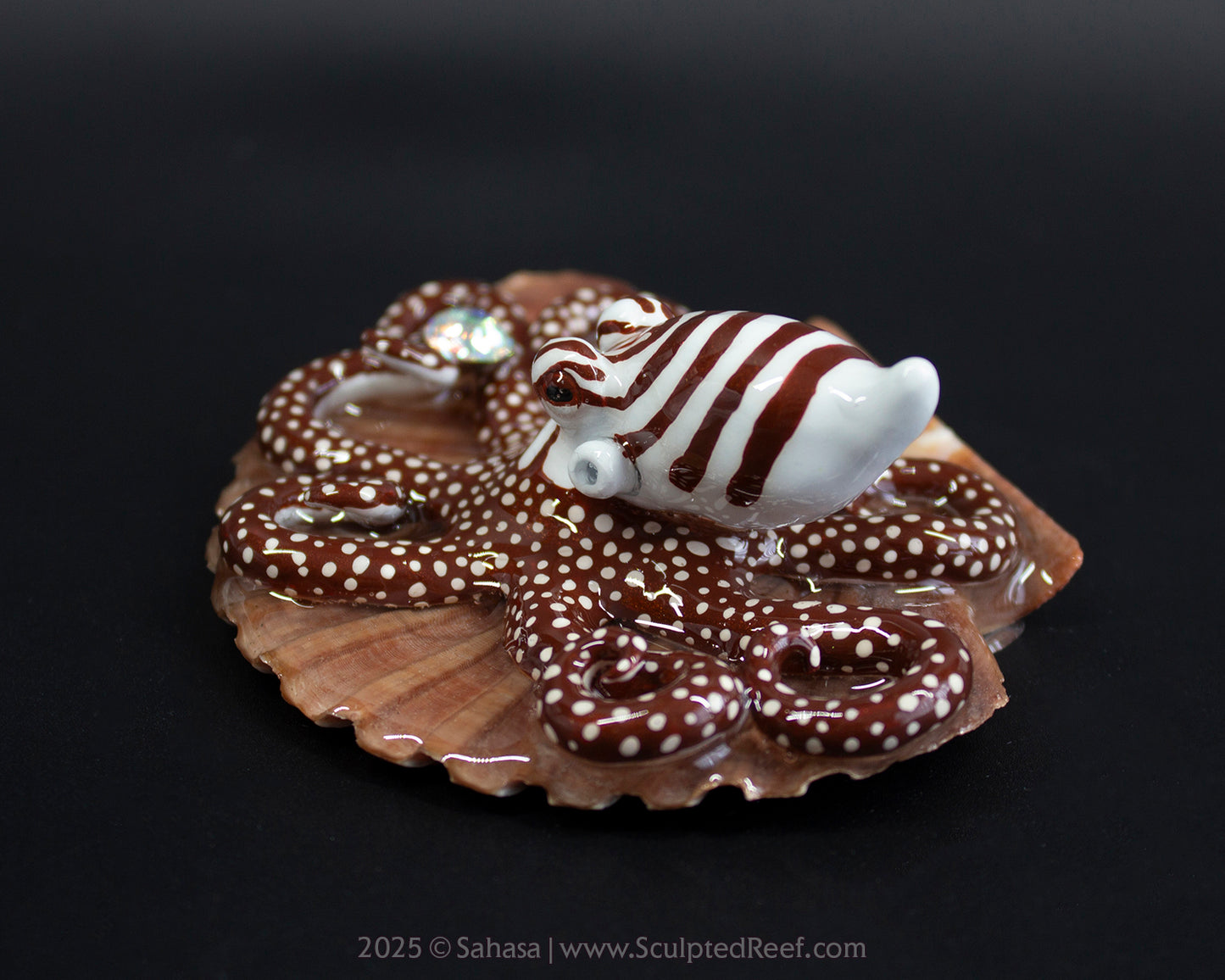 CALLAHAN - Shelltopus - OOAK Larger Pacific Striped Octopus Sculpture