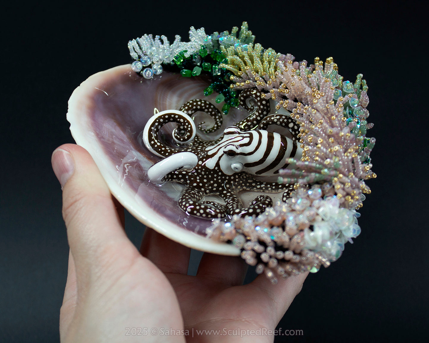 READ DESCRIPTION - No.16 "Jewel" Sculpted Reef Series - Larger Pacific Striped Octopus Sculpture