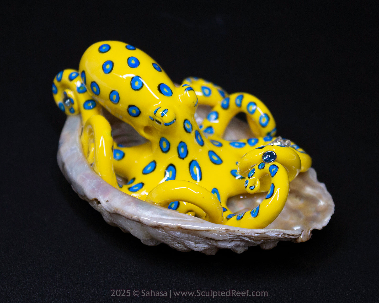 ORIANA - Shelltopus - OOAK Blue Ringed Octopus Sculpture