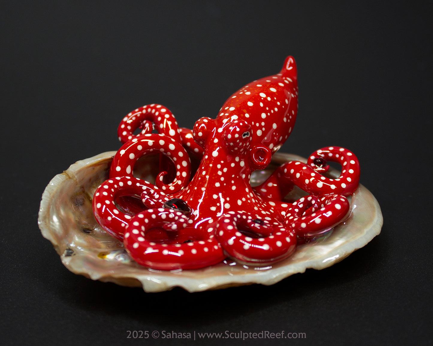 VALENCIA - Shelltopus - OOAK Starry Night Octopus Sculpture