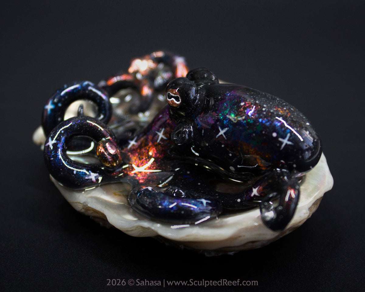 CELAENO - Shelltopus - OOAK Nebula Octopus Sculpture