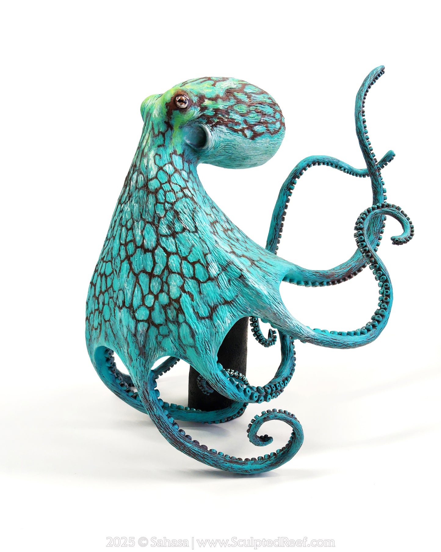 AURORA - 180 x 205 x 305mm - OOAK Caribbean Reef Octopus Sculpture - Sculpted and Carved Glow in the Dark Pedestal
