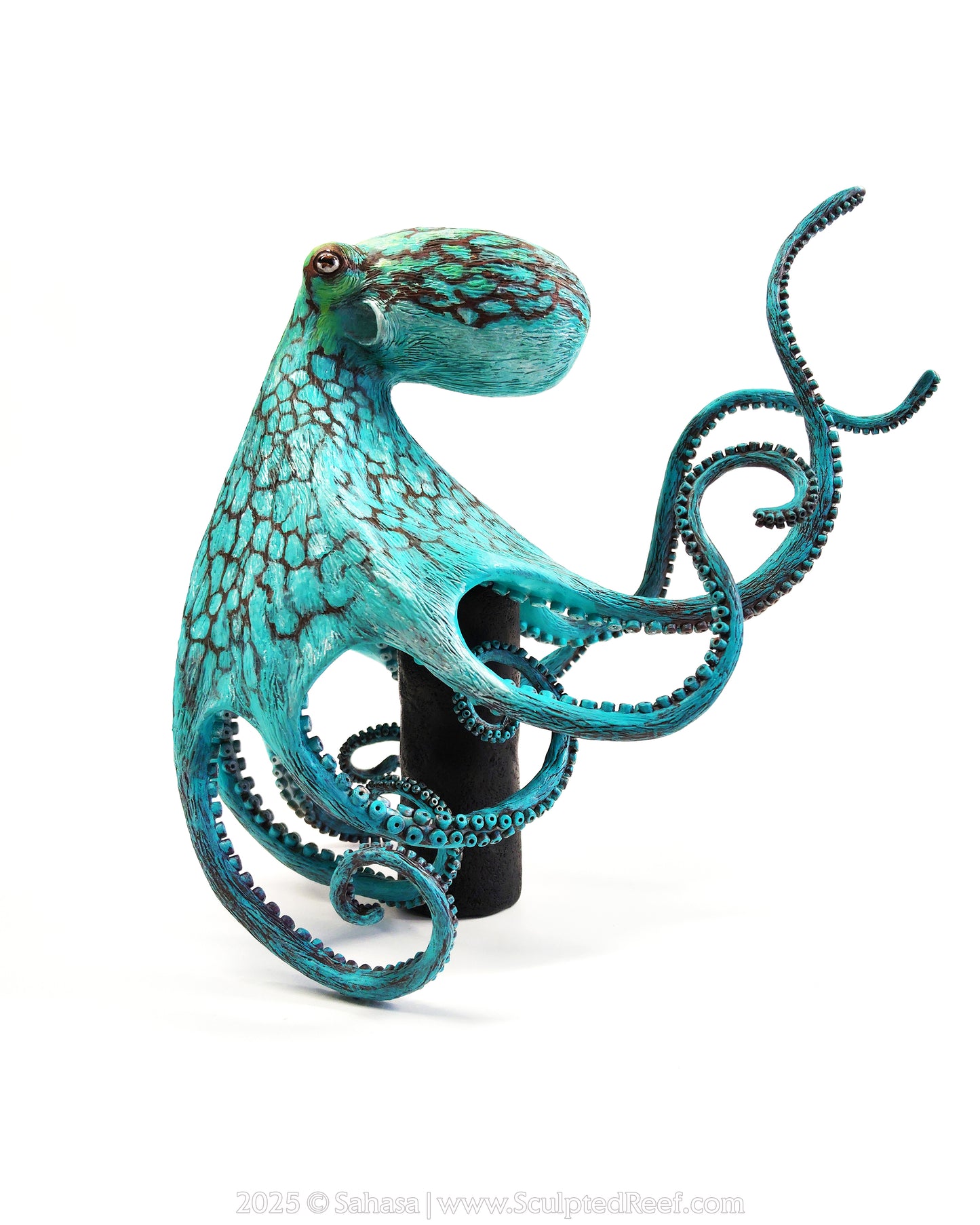 AURORA - 180 x 205 x 305mm - OOAK Caribbean Reef Octopus Sculpture - Sculpted and Carved Glow in the Dark Pedestal