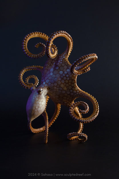 MAKANA - 70 x 145 x 145mm - OOAK Day Octopus Sculpture with separate Agate base