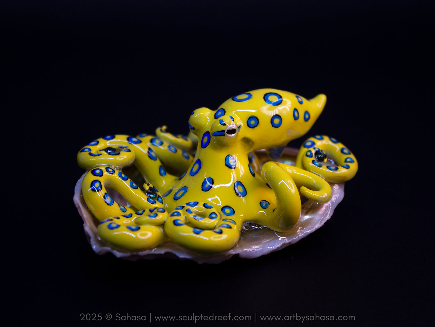 CALTHA - Shelltopus (Large) - OOAK Blue Ringed Octopus Sculpture