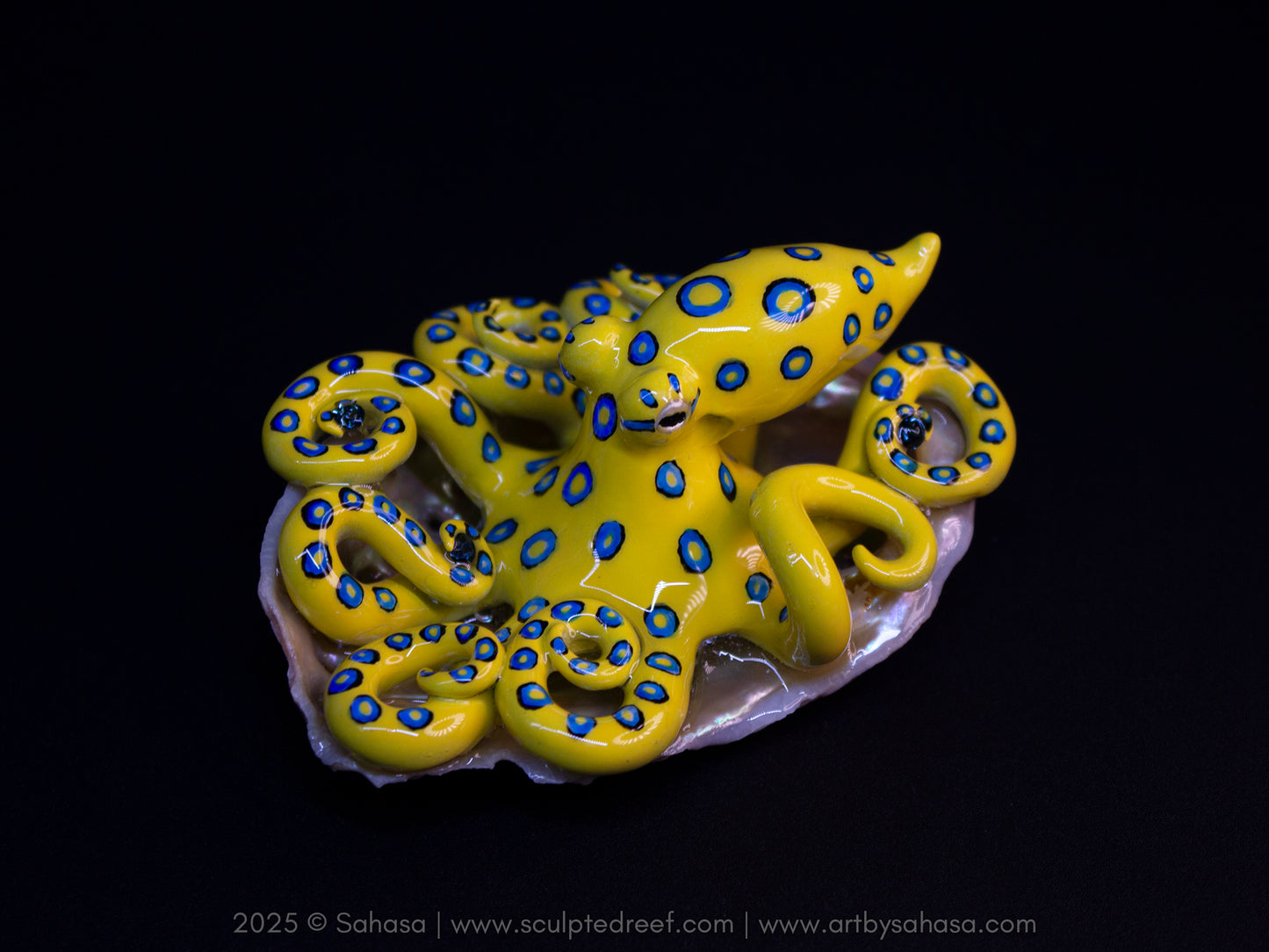 CALTHA - Shelltopus (Large) - OOAK Blue Ringed Octopus Sculpture