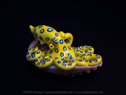 CALTHA - Shelltopus (Large) - OOAK Blue Ringed Octopus Sculpture