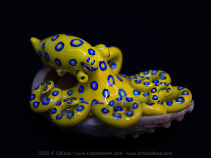 CALTHA - Shelltopus (Large) - OOAK Blue Ringed Octopus Sculpture