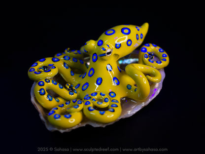 CALTHA - Shelltopus (Large) - OOAK Blue Ringed Octopus Sculpture