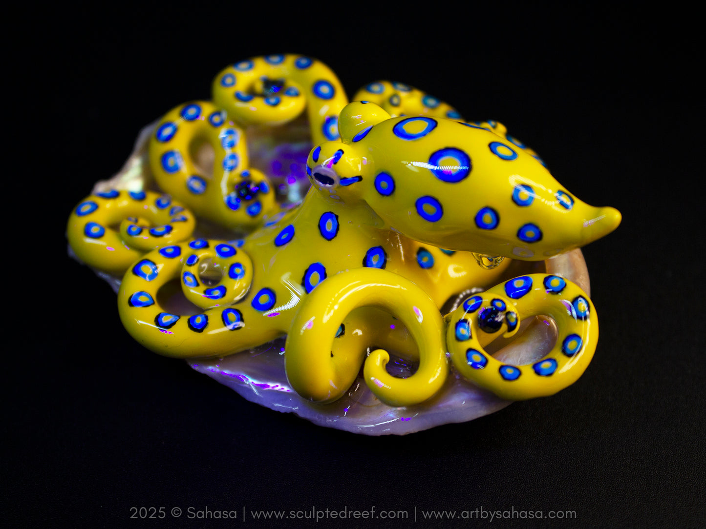 CALTHA - Shelltopus (Large) - OOAK Blue Ringed Octopus Sculpture