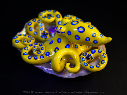 CALTHA - Shelltopus (Large) - OOAK Blue Ringed Octopus Sculpture