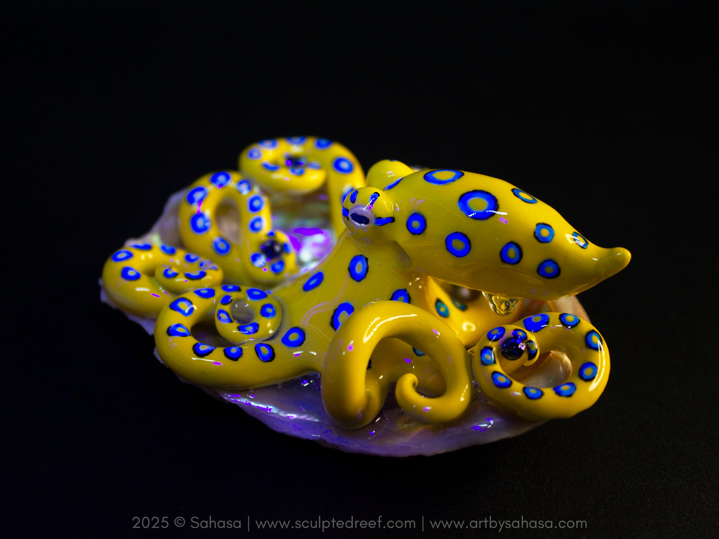 CALTHA - Shelltopus (Large) - OOAK Blue Ringed Octopus Sculpture