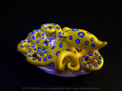 CALTHA - Shelltopus (Large) - OOAK Blue Ringed Octopus Sculpture