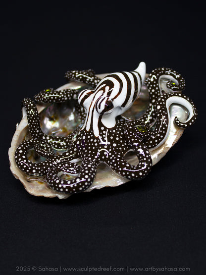 CALLISTO - Shelltopus (Large) - OOAK Larger Pacific Striped Octopus Sculpture