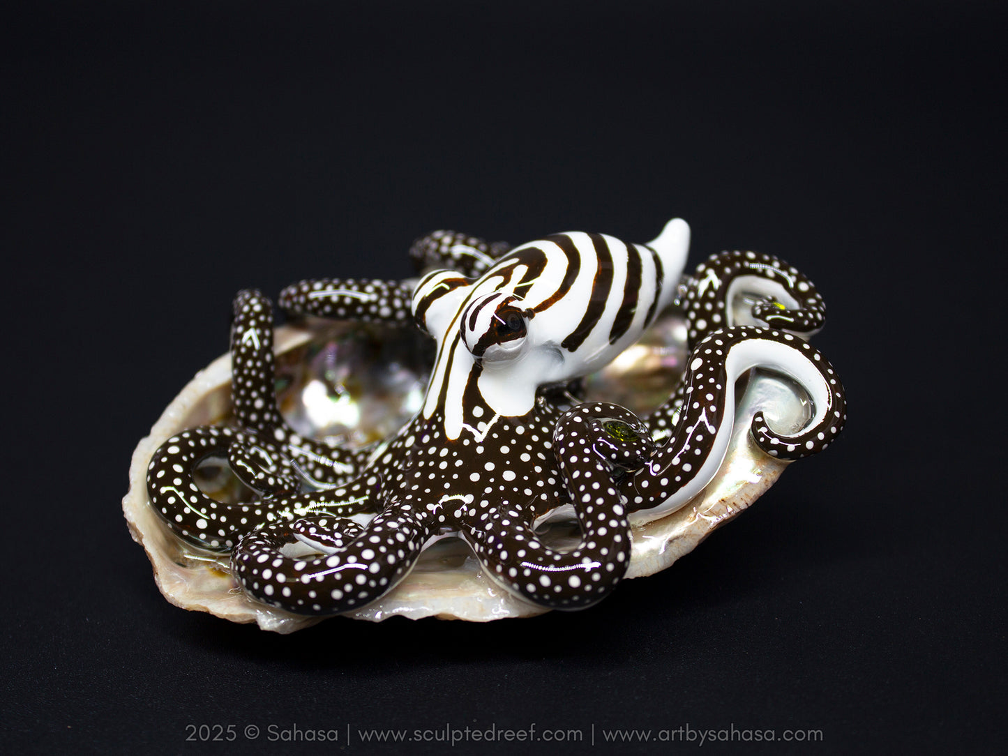 CALLISTO - Shelltopus (Large) - OOAK Larger Pacific Striped Octopus Sculpture