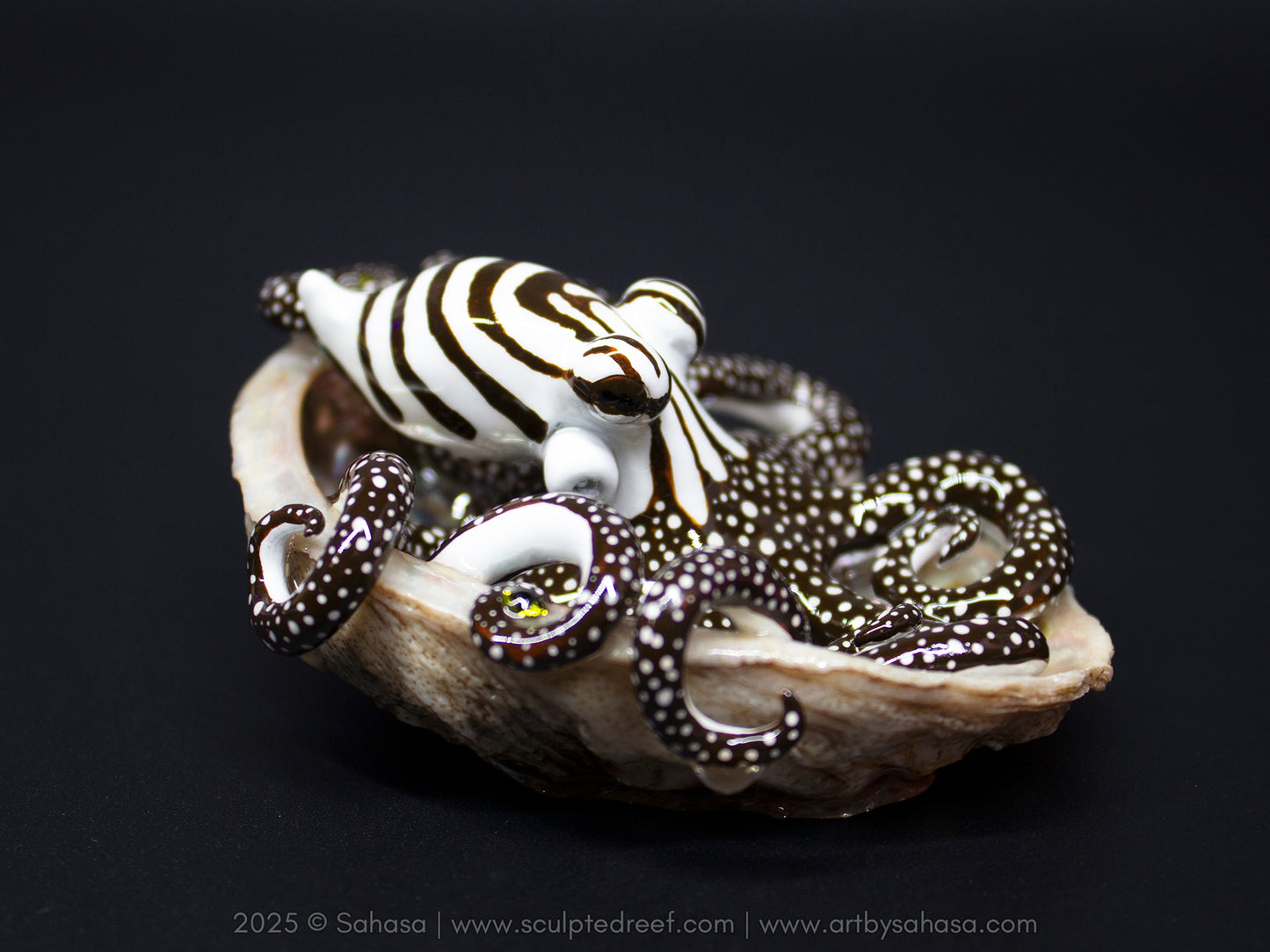 CALLISTO - Shelltopus (Large) - OOAK Larger Pacific Striped Octopus Sculpture