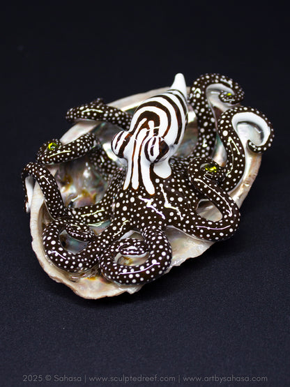 CALLISTO - Shelltopus (Large) - OOAK Larger Pacific Striped Octopus Sculpture