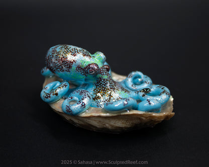 ELPIDA - Shelltopus (Large) - OOAK Caribbean Reef Octopus Sculpture