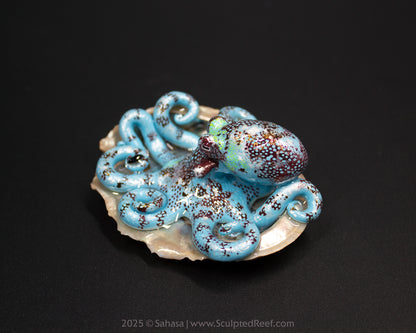 ELPIDA - Shelltopus (Large) - OOAK Caribbean Reef Octopus Sculpture