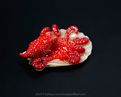 APRIL - Shelltopus (Medium) - OOAK Starry Night Octopus Sculpture